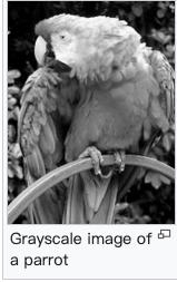 grayscale iamge example