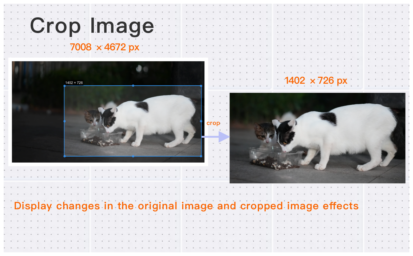 crop image with real-time previews
