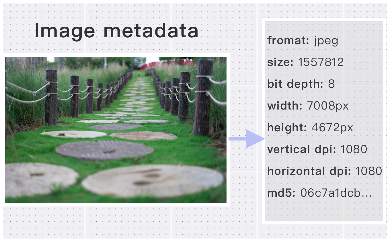 image:Viewing image metadata