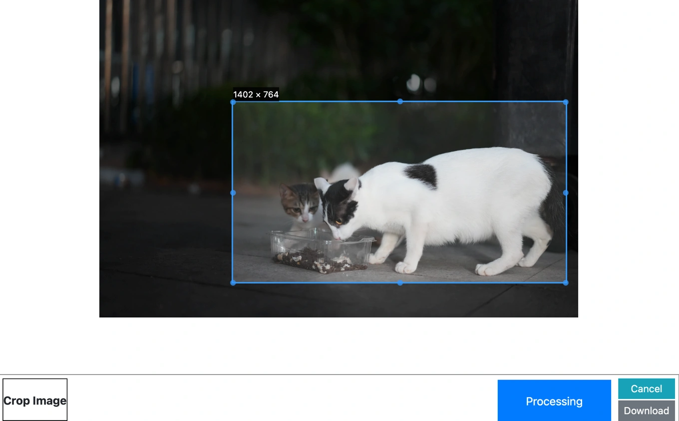 edit the settings for crop image