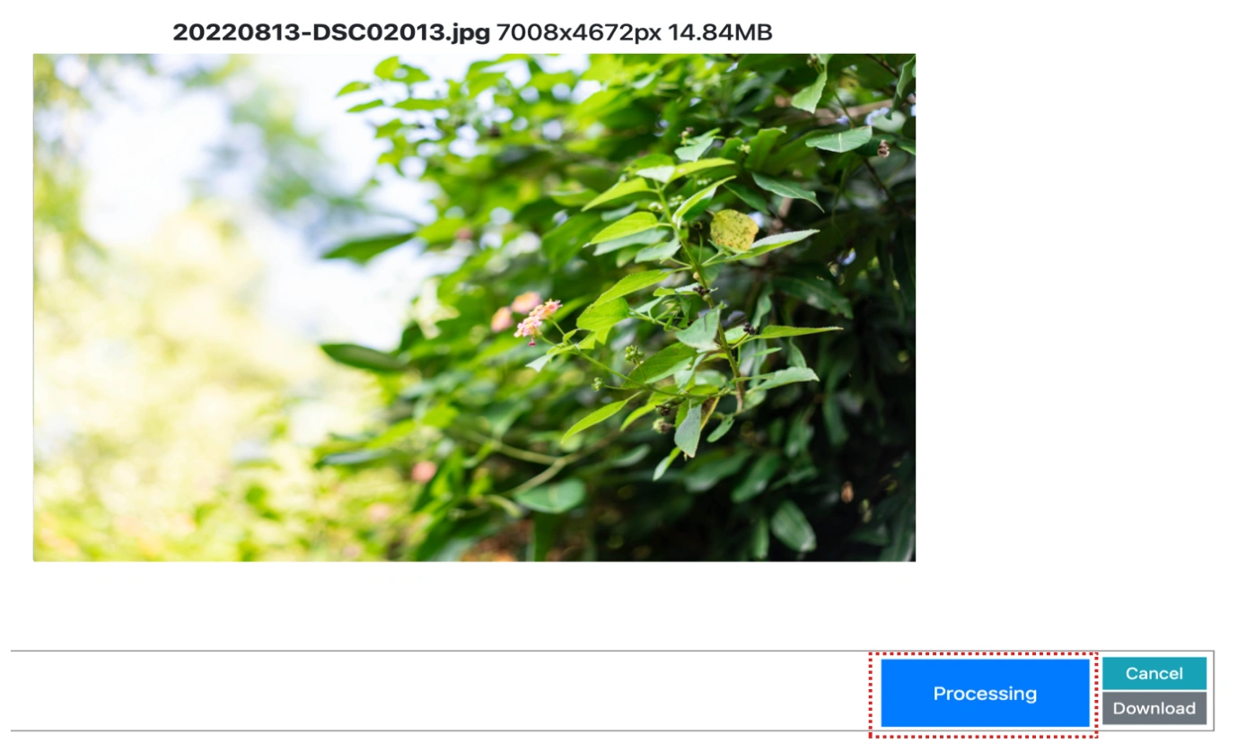 edit the settings for viewing image dominant color
