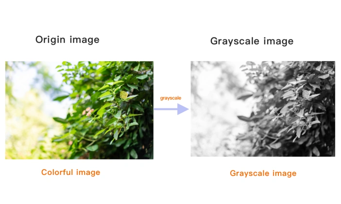 Viewing grayscale image