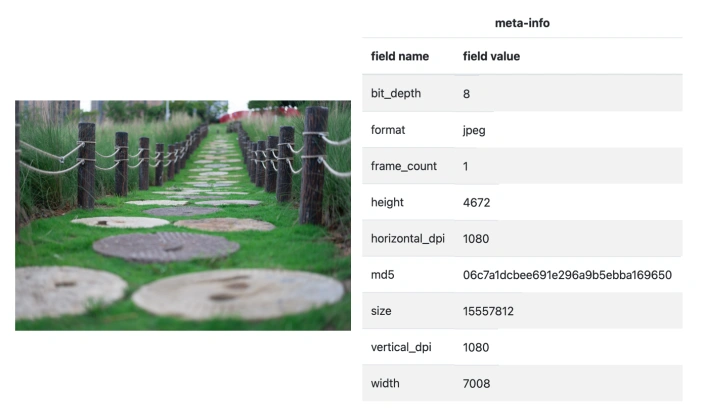 View the metadata of the image