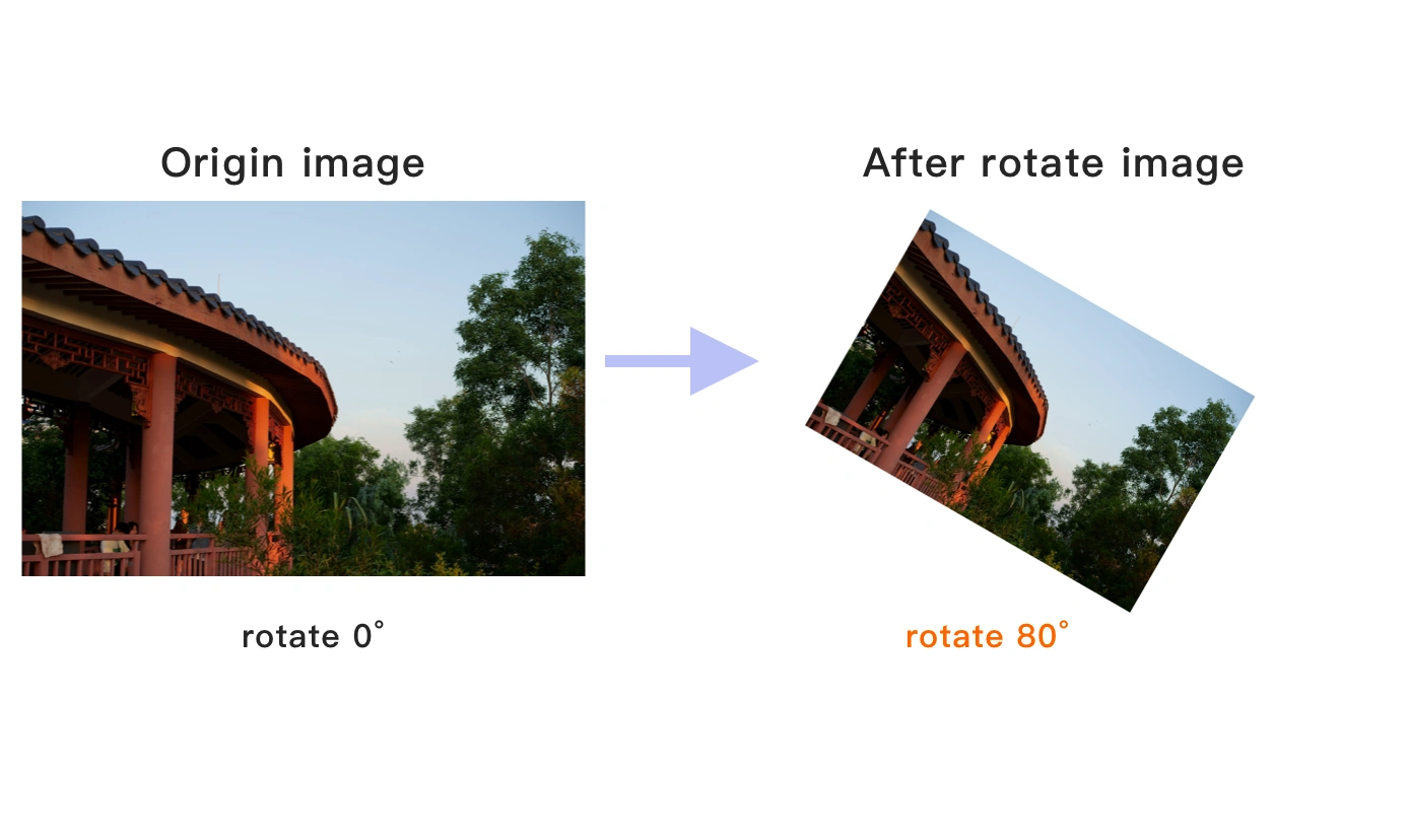 Viewing the rotated image