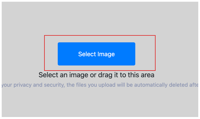 select images for metadata viewing
